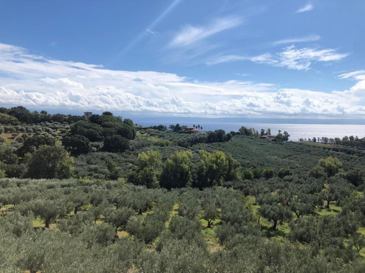 Casale Calabria Bed & Breakfast Gizzeria Luaran gambar