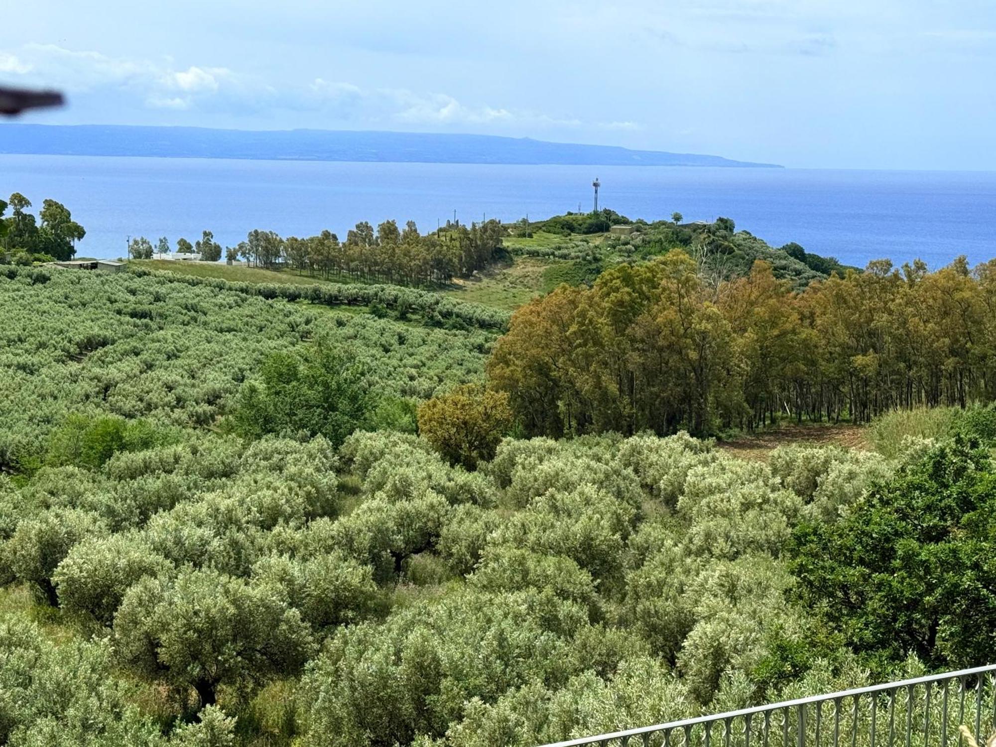 Casale Calabria Bed & Breakfast Gizzeria Luaran gambar